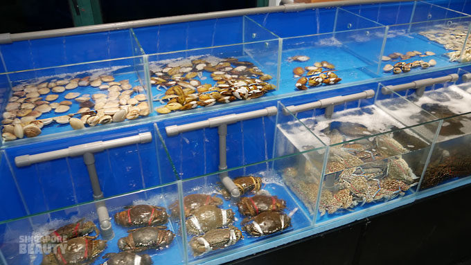 Thai Tanic, ‘Kapal’ Khusus Penggila Makanan Laut